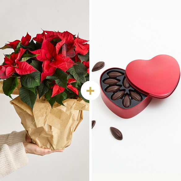 Julestjerne med hjerte med mintchokolade